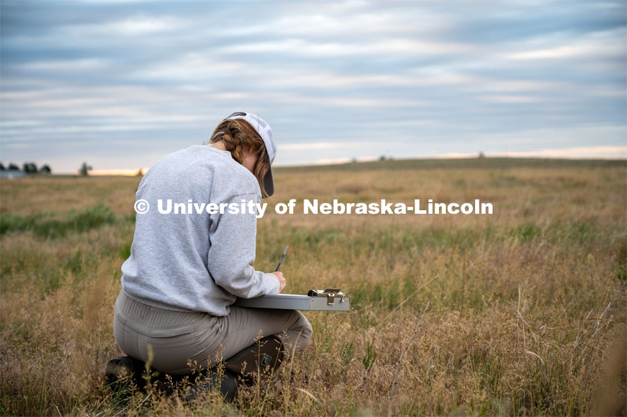 PhD student Grace Schuster walks to her next point count site for her research project on grassland bird communities. She is working in a pasture southwest of North Platte. July 6, 2022. Photo by Iris McFarlin, AWESM Lab Communications.