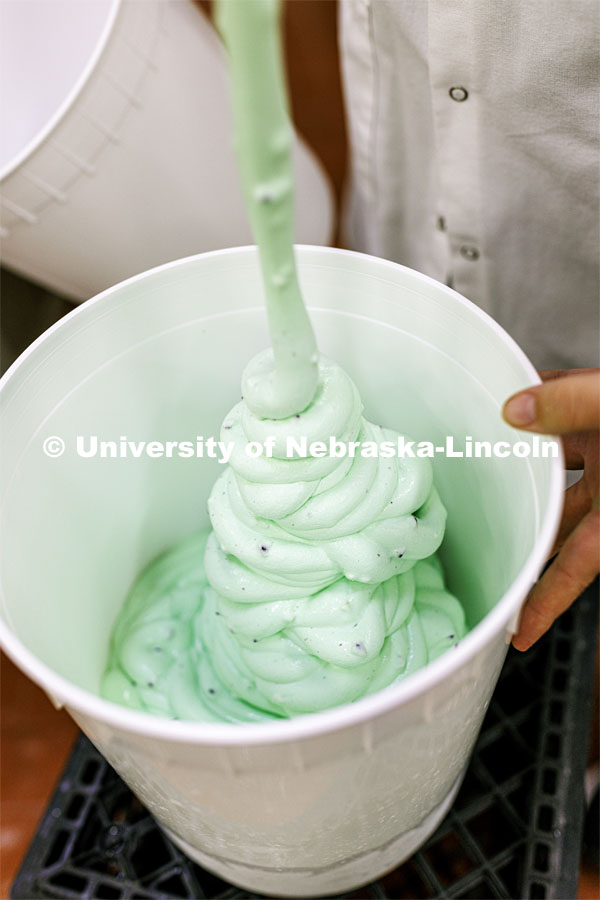 Dairy Store 4-H Clover Mint is extruded into 3-gallon buckets after it comes out of the machine which turns the mix into soft serve Ice cream at Food Innovation Center on Nebraska Innovation Campus. July 18, 2022. Photo by Craig Chandler / University Communication.
