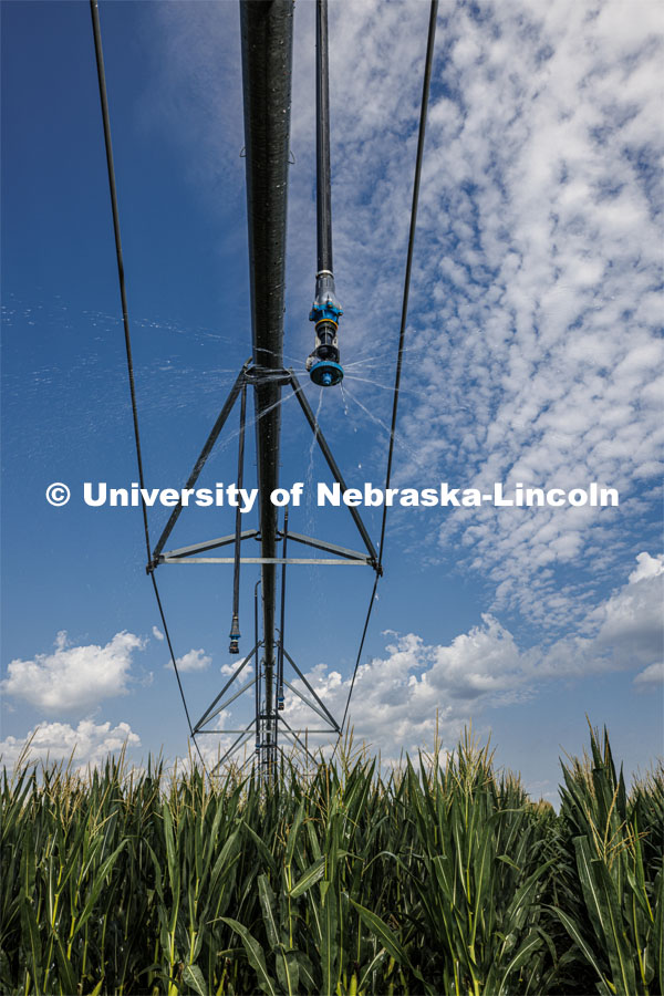 A center pivot sprinkler head delivering fertilizer along with water at an ENREC field near Mead, Nebraska.  Sentinal Fertigation, . August 3, 2022. Photo by Craig Chandler / University Communication.