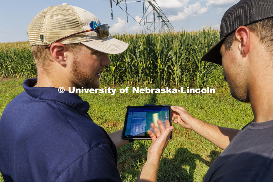 Jackson Stansell, founder and CEO of Sentinal Fertigation, goes over field data with Brett Gerdes, senior in agronomy and intern at Sentinal Fertigation, next to a field using fertigation technology at ENREC near Mead, Nebraska. . August 3, 2022. Photo by Craig Chandler / University Communication.