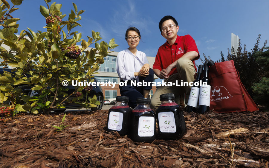 Xiaoqing Xie, left, and Changmou Xu pose with an Aronia berry bush growing outside of Food Innovation Center along with bottles of AroJuice and AroWine, a product by the A+ Berry Company. The goal of the Aronia berry research group is to convert Aronia berries, a superfruit mainly grown in the Midwest, into functional foods and ingredients. August 2, 2022. Photo by Craig Chandler / University Communication.