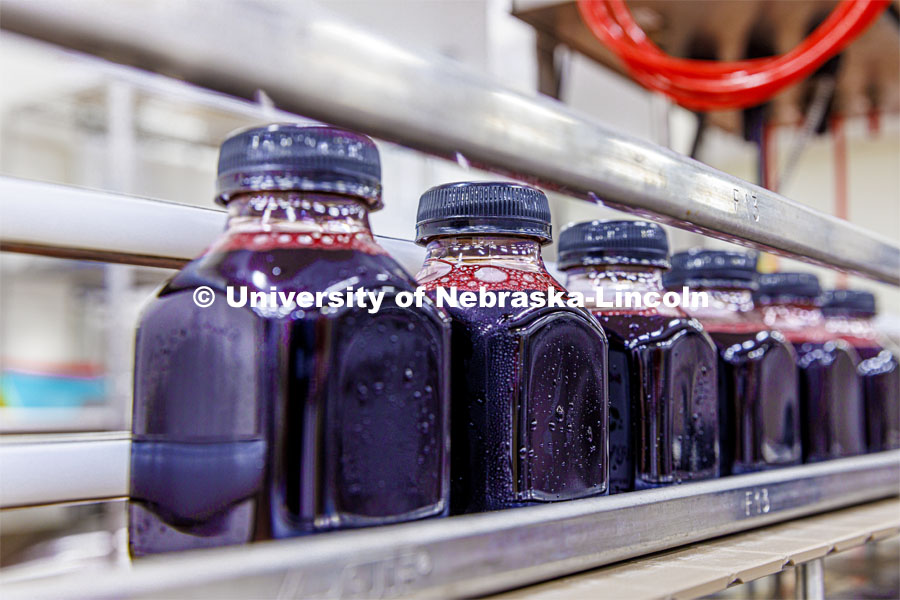 Bottles of AroJuice, a product by the A+ Berry Company, line up in the pilot plant at Food Innovation Center. The goal of the Aronia berry research group is to convert Aronia berries, a superfruit mainly grown in the Midwest, into functional foods and ingredients. August 2, 2022. Photo by Craig Chandler / University Communication.