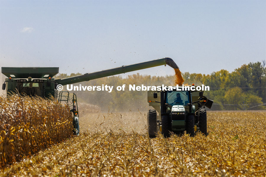 Corn harvest south of Chapman, Nebraska. October 13, 2022. Photo by Craig Chandler / University Communication. 