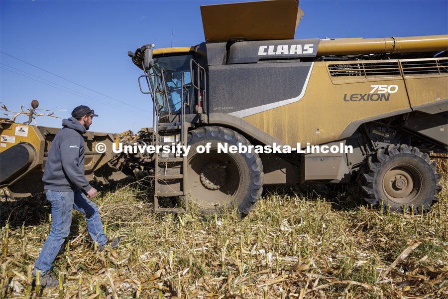 Andrew McHargue heads for his combine as he harvests popcorn east of Chapman, Nebraska. Preferred Popcorn grows popcorn near Chapman, Nebraska and throughout the area. It is headed by Norm Krug. October 13, 2022. Photo by Craig Chandler / University Communication.