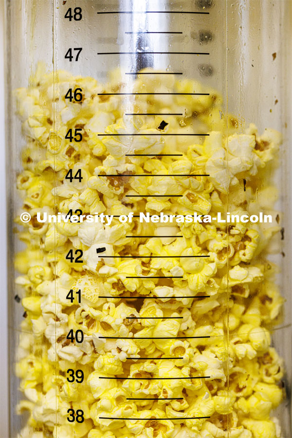 Each sample is popped in a popper identical to those used in movie theaters. The sample is measured for volume so it meets their customer’s expectations. Preferred Popcorn grows popcorn near Chapman, Nebraska and throughout the area. It is headed by Norm Krug. October 13, 2022. Photo by Craig Chandler / University Communication.