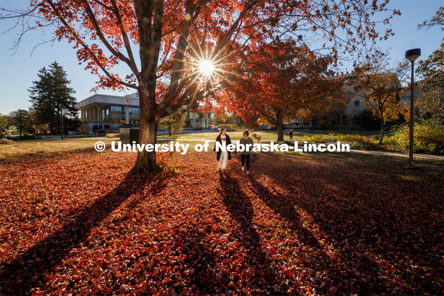 Ashlyn Rapisarda, a senior from Wisconsin, and Chloe Shane, a senior from Chicago, walk through the leaves under a tree outside the Dinsdale Family Learning Commons. Fall on east campus. November 1, 2022. Photo by Craig Chandler / University Communication.