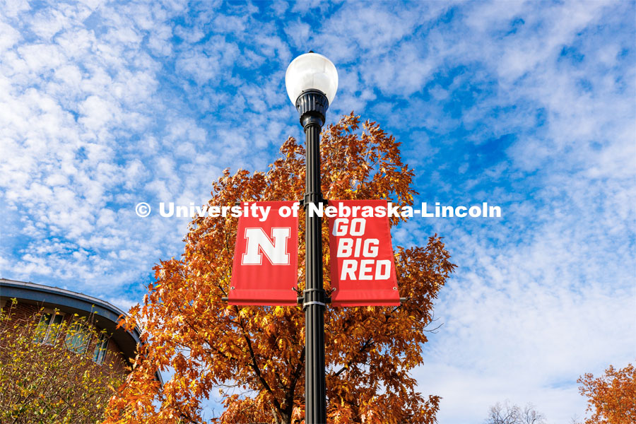 Nebraska N Banners are surrounded by orange fall leaves. Fall on City Campus. November 2, 2022. Photo by Craig Chandler / University Communication.