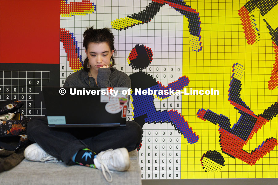 Isabelle Kripps, a sophomore from Omaha, studies in front of the large wall mural on the third-floor common space in Andersen Hall. November 9, 2022. Photo by Craig Chandler / University Communication.