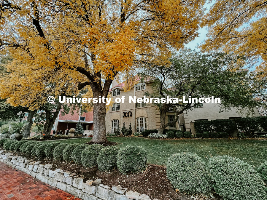 Fall on City Campus. November, 2022. Photos by Katie Black and Taylor DeMaro / University Communication.