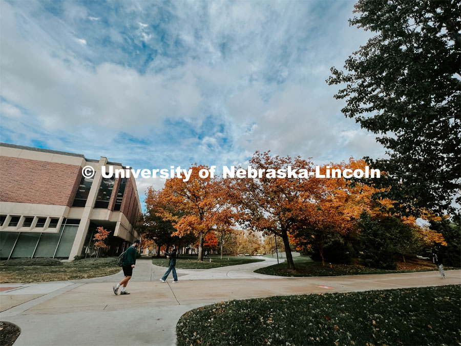 Fall on City Campus. November, 2022. Photos by Katie Black and Taylor DeMaro / University Communication.