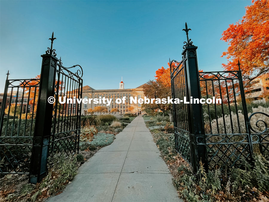 Fall on City Campus. November, 2022. Photos by Katie Black and Taylor DeMaro / University Communication. 