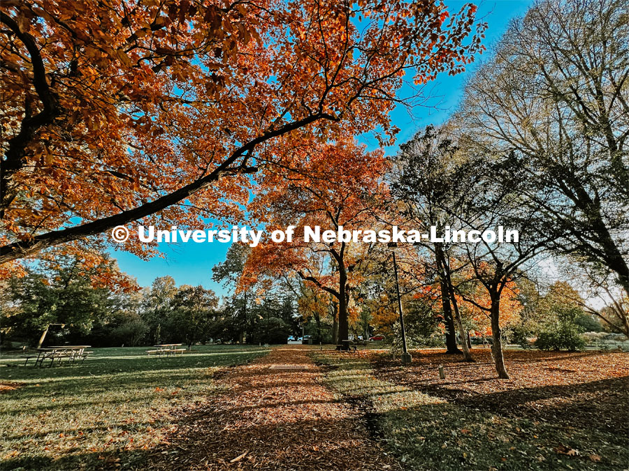 Fall on East Campus. November 10, 2022. Photo by Katie Black and Taylor DeMaro / University Communication.