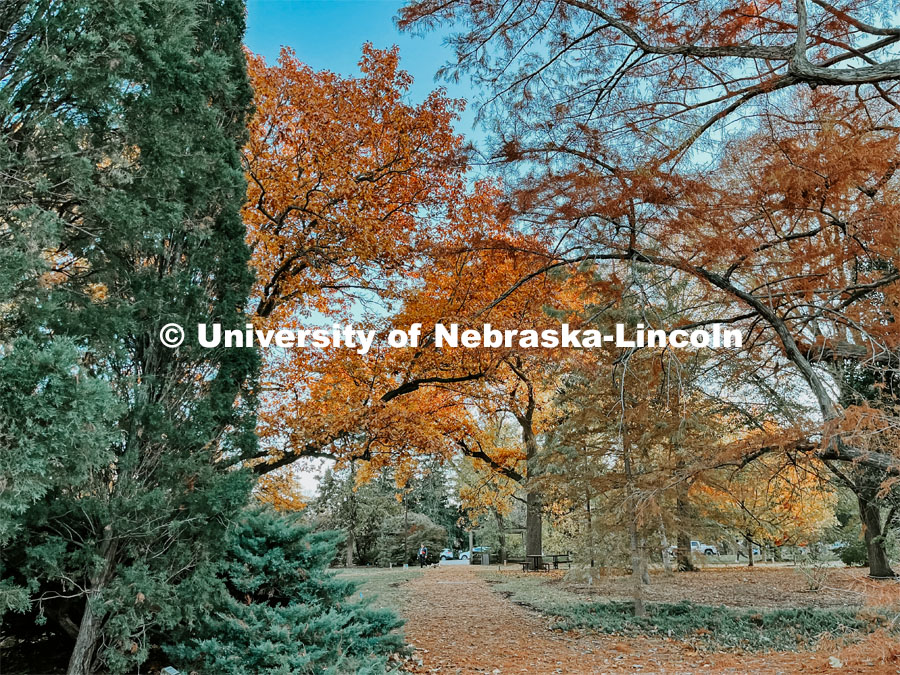 Fall on East Campus. November 10, 2022. Photo by Katie Black and Taylor DeMaro / University Communication.