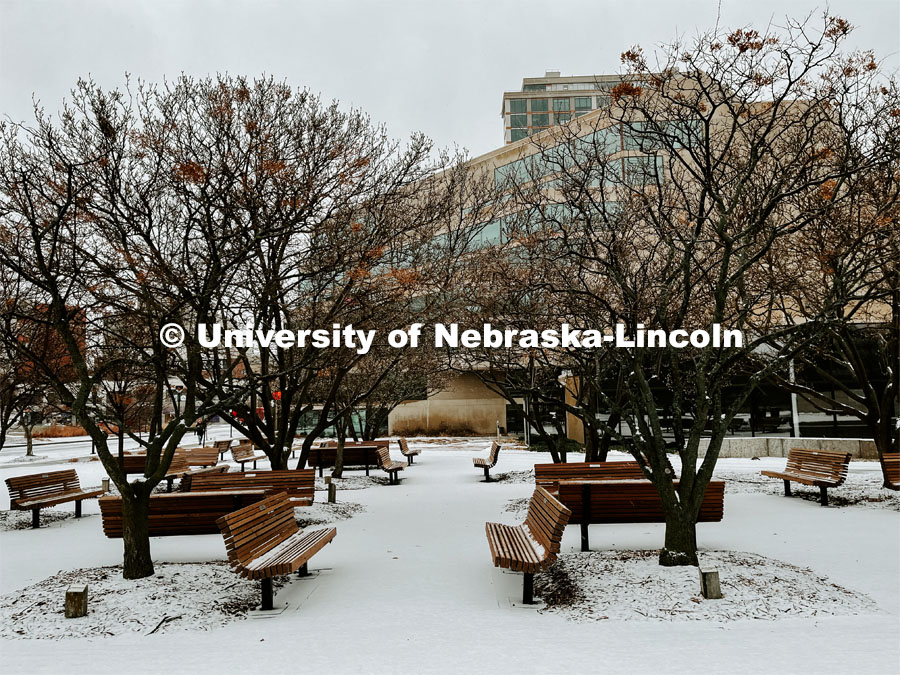 Winter on city campus, December, 2022. Photos by Katie Black  / University Communication. 