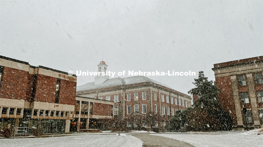 Winter on city campus, December, 2022. Photos by Katie Black  / University Communication.