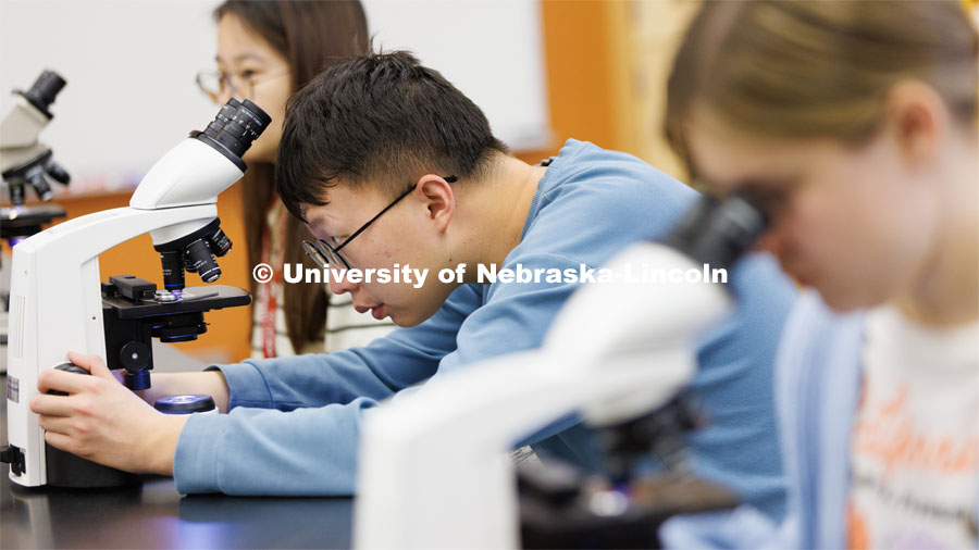 Nanqing Bian, a junior in Food Science and Technology, adjusts his microscope to view a mold sample. Heather Hallen-Adams teaches FDST 492 - Special Topics in Food Science and Technology topic Moldy Meals: Koji and More. January 10, 2023. Photo by Craig Chandler / University Communication.