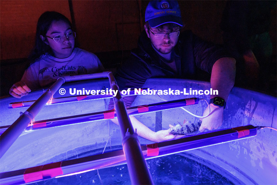 Aquatic Biodiversity and Conservation (ABC) Lab. March 27, 2023. Photo by Craig Chandler / University Communication.
