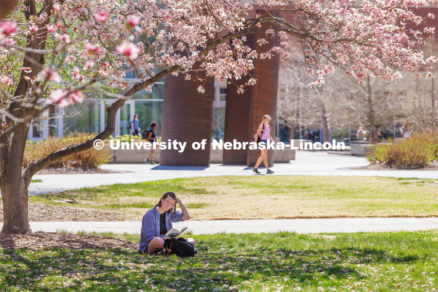 Kayleigh Casey, a junior from Omaha, sits under a tree north of Love Library and reads a book for her German class. City Campus. April 13, 2023. Photo by Craig Chandler / University Communication.