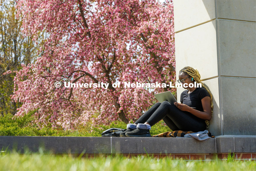 Maryam Ajibola, a freshman from Lockport, Illinios, studies surrounded by spring blooms outside the Nebraska Union. Spring on City Campus. April 18, 2023. Photo by Craig Chandler / University Communication.