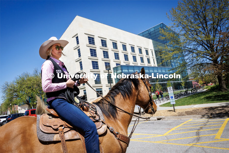 Jadyn Fleischman walks her horse outside Hawks Hall on City Campus after unloading it from the horse trailer. Students in Rob Simon’s capstone marketing course held a promotional event for the UNL rodeo on the west side of the Union. The class developed a marketing strategy for the Rodeo Club to help promote their upcoming rodeo. Seven horses and multiple club members were on city campus for students to meet, get close to and have their photos taken. May 1, 2023. Photo by Craig Chandler / University Communication.