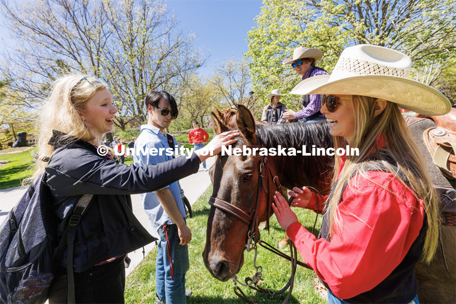 Chelsea Abels pets a horse as she talks with Rodeo Club member Sydney Veldhuizen during the promotional event outside the Nebraska Union. Students in Rob Simon’s capstone marketing course held a promotional event for the UNL rodeo on the west side of the Union on City Campus. The class developed a marketing strategy for the Rodeo Club to help promote their upcoming rodeo. Seven horses and multiple club members were on city campus for students to meet, get close to and have their photos taken. May 1, 2023. Photo by Craig Chandler / University Communication.