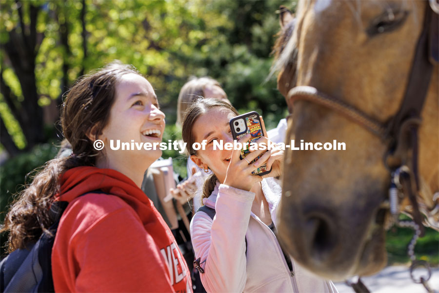 Olivia Johann takes a photo of one of the rodeo club horses as she and Ellie Henkel hang out with the horses. Students in Rob Simon’s capstone marketing course held a promotional event for the UNL rodeo on the west side of the Union on City Campus. The class developed a marketing strategy for the Rodeo Club to help promote their upcoming rodeo. Seven horses and multiple club members were on city campus for students to meet, get close to and have their photos taken. May 1, 2023. Photo by Craig Chandler / University Communication.