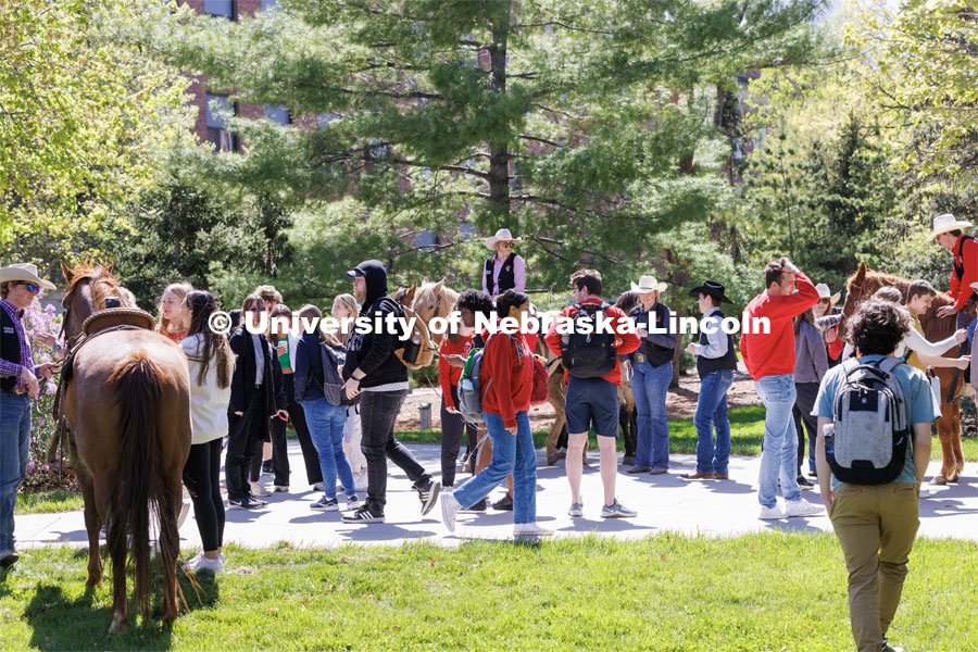 Students in Rob Simon’s capstone marketing course held a promotional event for the UNL rodeo on the west side of the Union on City Campus. The class developed a marketing strategy for the Rodeo Club to help promote their upcoming rodeo. Seven horses and multiple club members were on city campus for students to meet, get close to and have their photos taken. May 1, 2023. Photo by Craig Chandler / University Communication.