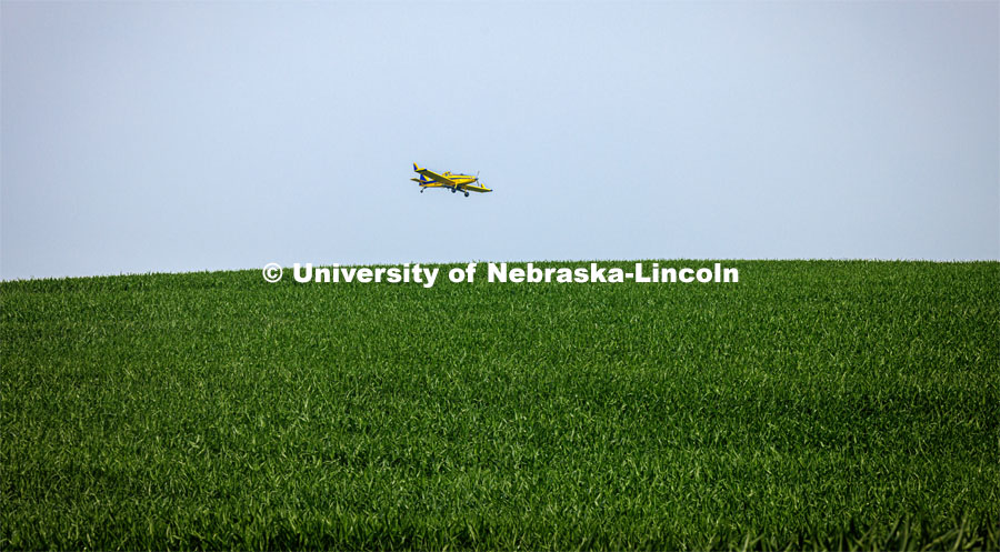 Crop duster sprays corn fields in southeast Lancaster County. June 22, 2023. Photo by Craig Chandler / University Communication.