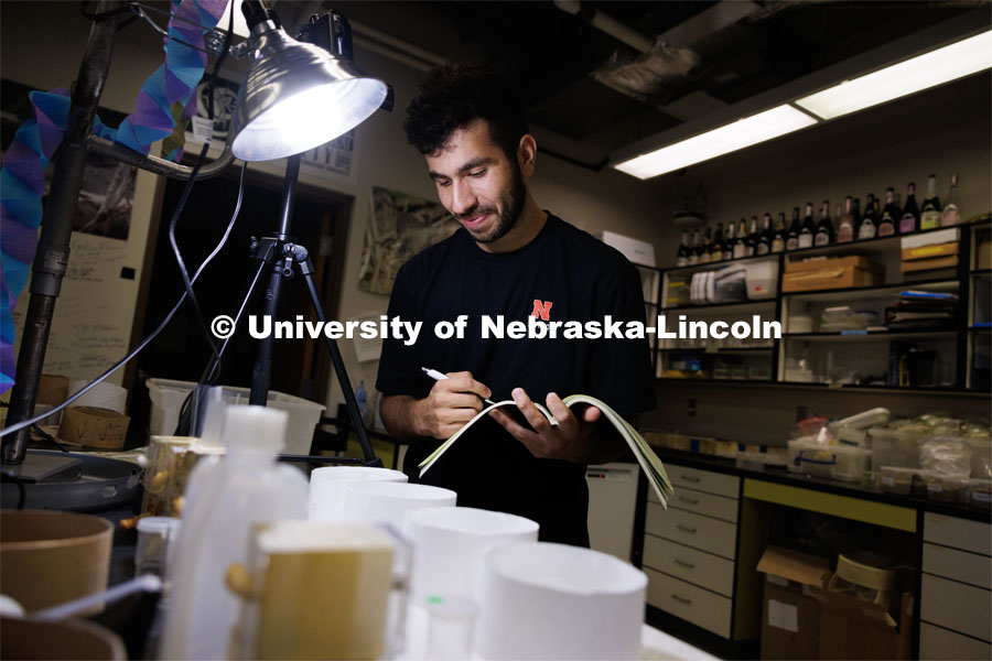 Abdallah Abdallah, an incoming UNL freshman from Lincoln, a first-year student from Lincoln, documents a spider’s activity while working in Eileen Hebets' lab.

University of Nebraska-Lincoln’s “STEM-POWER Research Program: Empowering students from the start with Purpose, Ownership, and Well-being as they Engage in research Relationships”. June 28, 2023. Photo by Craig Chandler / University Communication.


