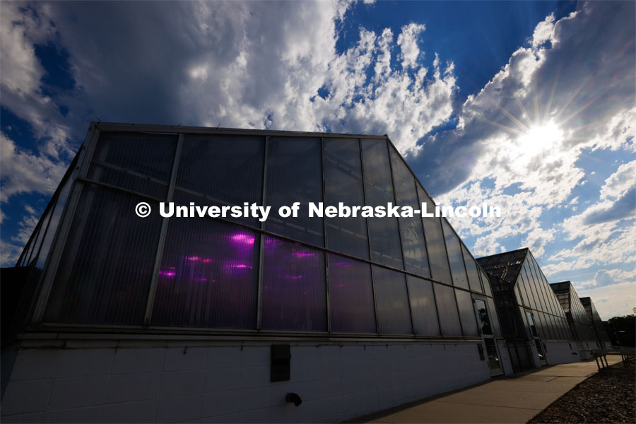 Exterior view of Beadle Greenhouses. July 24, 2023. Photo by Craig Chandler / University Communication.