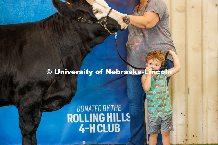 One young fair goer stands near a cow being shown at the Beef Show. 4H/FFA Beef Show at the Gage County Fair and Expo in Beatrice. July 28, 2023. Photo by Craig Chandler / University Communication.
