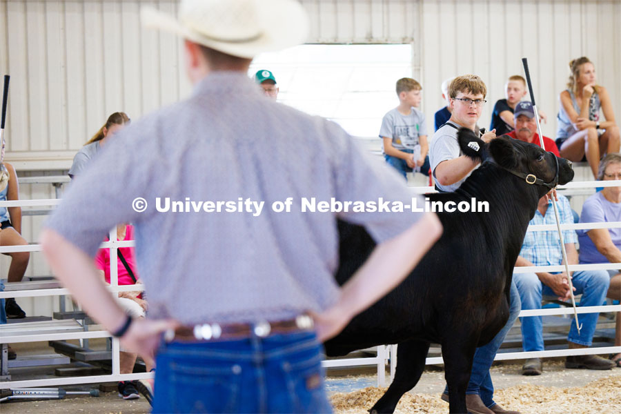 Braeden Humphreys of Wymore keeps his eye on the judge during the senior division beef showmanship competition. 4H/FFA Beef Show at the Gage County Fair and Expo in Beatrice. July 28, 2023. Photo by Craig Chandler / University Communication.