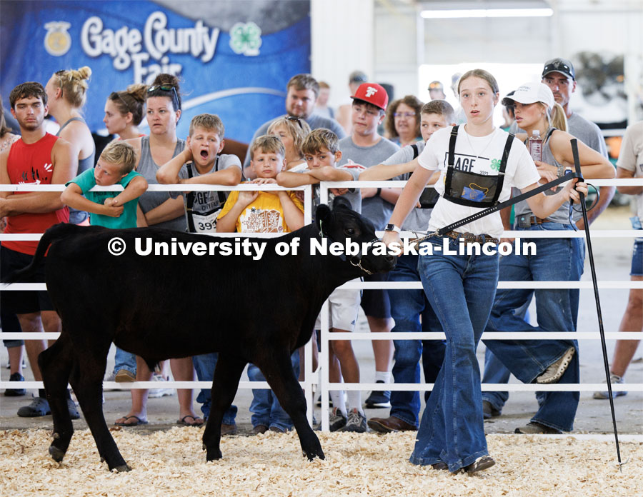 Mylee Gaddy of Odell concentrates more on the judge than the crowd does during the senior division beef showmanship competition. 4H/FFA Beef Show at the Gage County Fair and Expo in Beatrice. July 28, 2023. Photo by Craig Chandler / University Communication.