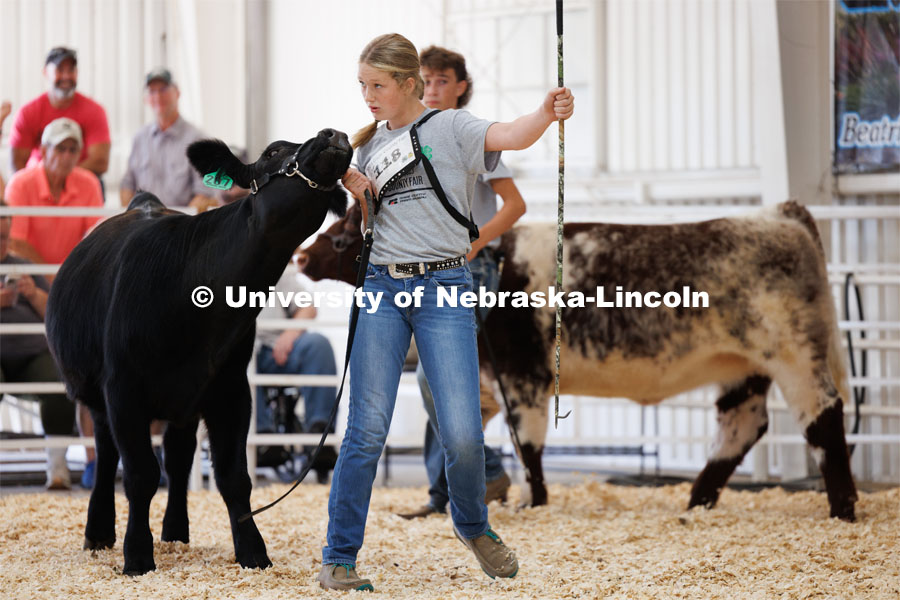 Reece Barnard of Beatrice eyes the judge during the intermediate division beef showmanship competition. 4H/FFA Beef Show at the Gage County Fair and Expo in Beatrice. July 28, 2023. Photo by Craig Chandler / University Communication.