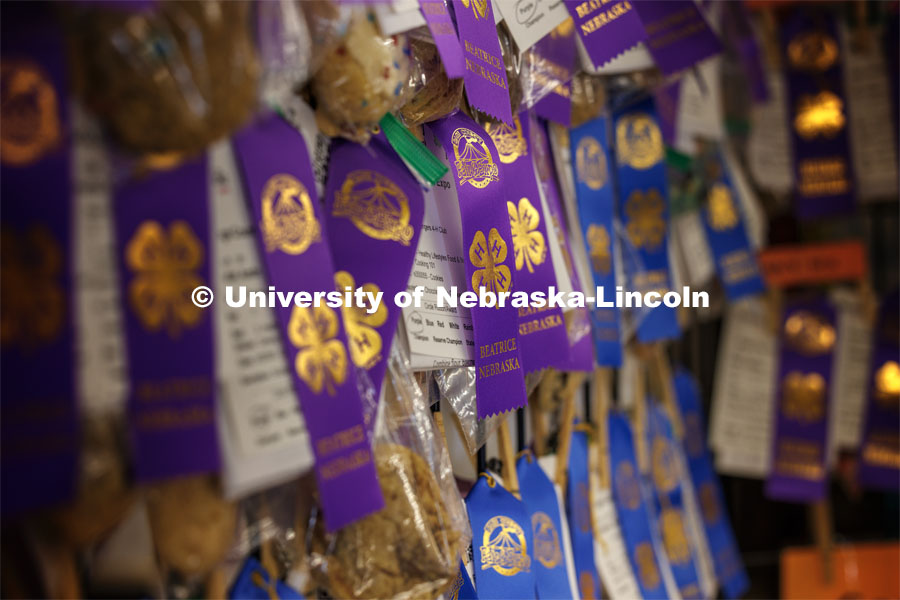 A wall of ribbons at the 4H/FFA Beef Show at the Gage County Fair and Expo in Beatrice. July 28, 2023. Photo by Craig Chandler / University Communication.