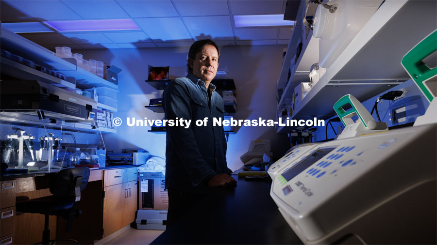 Husker entomologist Troy Anderson has discovered a potential breakthrough in combatting the Varroa mite, a parasite whose spread of viruses, triggers catastrophic losses of honey bee colonies. August 2, 2023. Photo by Craig Chandler/ University Communication.