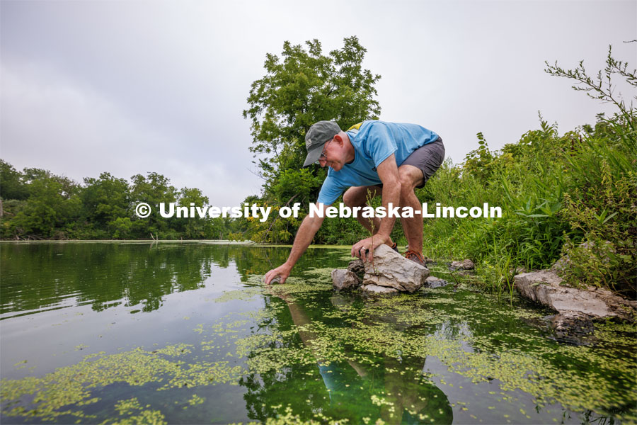 John DeLong collects water samples from Wildwood Lake northwest of Lincoln. DeLong published the first study investigating and demonstrating the effects of “virovory” – the phenomenon of Halteria eating infectious chloroviruses in an aquatic habitat. The experiments showed, for the first time, that a virus-only diet can fuel physiological growth and even population growth of an organism. Photo used for 2022-2023 Annual Report on Research at Nebraska. August 3, 2023. Photo by Craig Chandler/ University Communication.