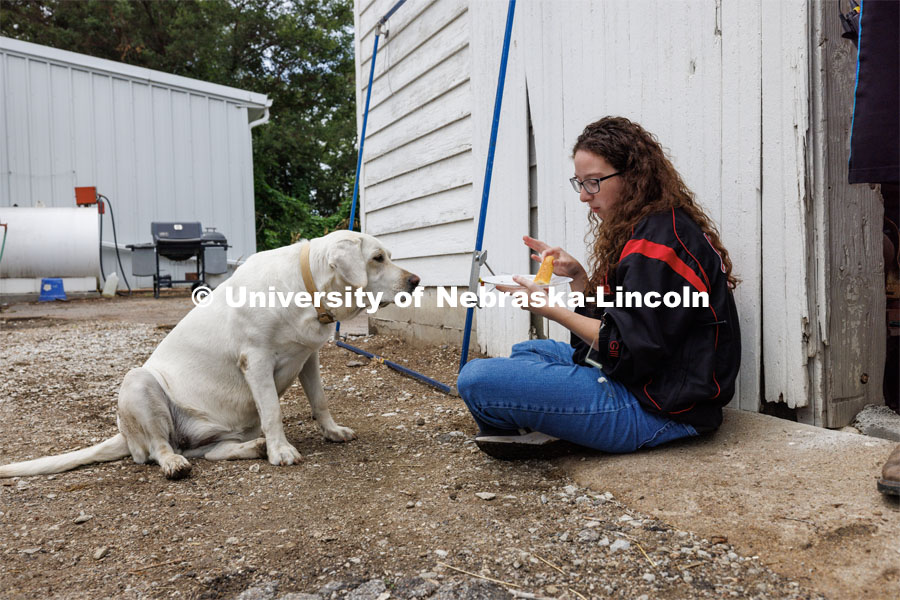 Marley Hewitt eats her lunch under the hopeful eyes of Nala, the farm dog of the residence. Filming of the movie using UNL students as the production crew. Richard Endacott earned multiple awards for his screenplay, "Turn Over." Story about keeping the family farm operating in the modern era as two brothers come together via restoring an old tractor to help fund their operations. August 9, 2023. Photo by Craig Chandler / University Communication.