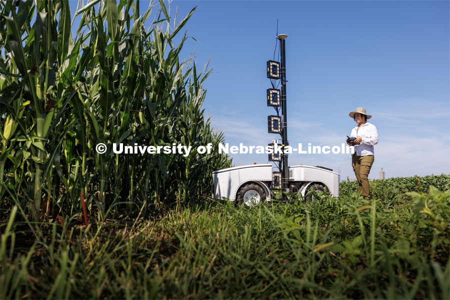 Lina Lopez-Corona, research technician with James Schnable’s group runs Phenobot through corn rows in a field northeast of 84th and Havelock. Phenobot is a robot that measures leaf angle on corn to see how well the plant is performing photosynthesis. What used to be done by hand using protractors is now quickly done by the robot with a remote-controlled robot fitted with cameras and lights. August 10, 2023. Photo by Craig Chandler/ University Communication.