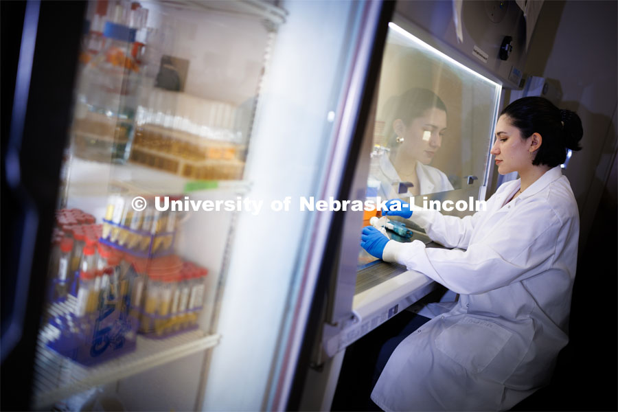 Vanessa Whitmore, a graduate student who is UNL’s first National GEM Consortium fellow, works in her Nebraska Food Innovation Center lab. August 22, 2023. Photo by Craig Chandler / University Communication.