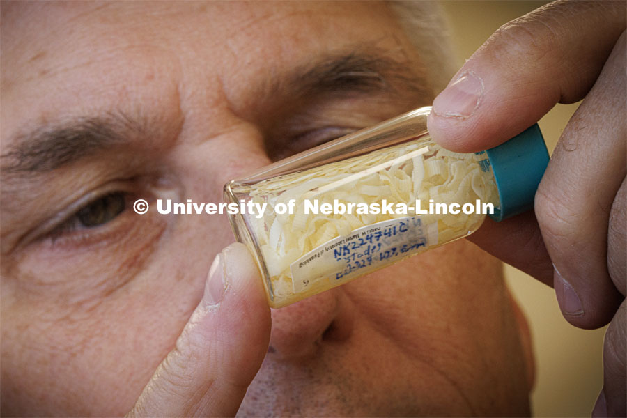 Scott Gardner looks over tapeworm samples in his lab. He has several NSF-funded One Health projects related to parasitology. Photo used for 2022-2023 Annual Report on Research at Nebraska. September 6, 2023. Photo by Craig Chandler / University Communication.