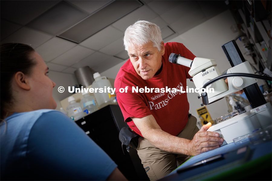 Scott Gardner talks with lab technician Allison Hearty in the Nebraska Hall lab. Gardner works with samples in his lab. He has several NSF-funded One Health projects related to parasitology. Photo used for 2022-2023 Annual Report on Research at Nebraska. September 6, 2023. Photo by Craig Chandler / University Communication.