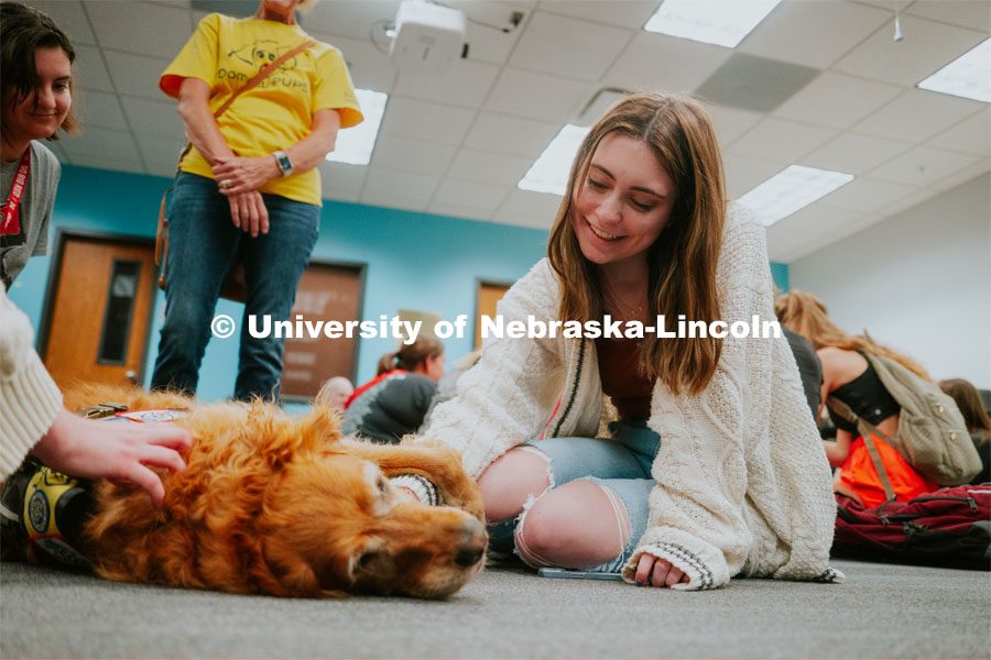 Students pet therapy dog, Remington in the Love Library and Dinsdale Family Learning Commons to de-stress during Big Red Pawp-Up. Therapy dogs on campus. September 7, 2023. Photo by Jonah Tran / University Communication.