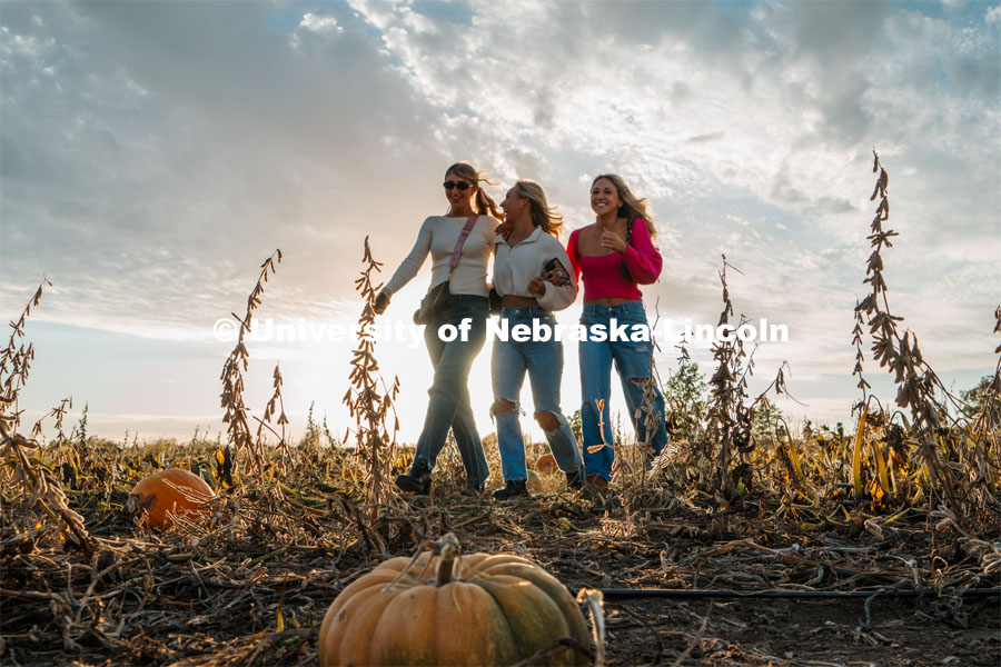 Husker Cheer Squad hike through the pumpkin patch at Roca Berry Farm. About Lincoln at Roca Berry Farm. October 22, 2023. Photo by Matthew Strasburger / University Communication.