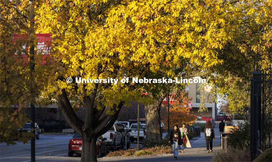 Fall on city campus. November 7, 2023. Photo by Craig Chandler / University Communication and Marketing.