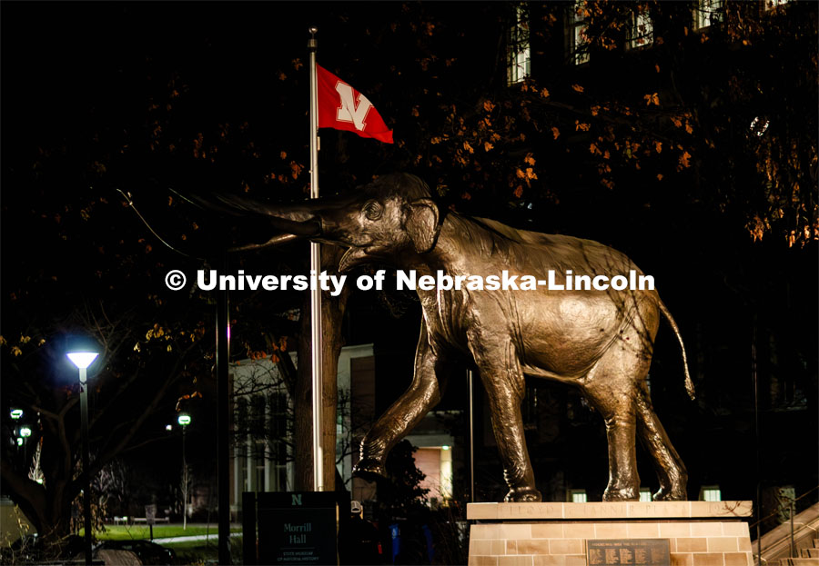 Archie stands in front of Morrill Hall. November 30, 2023. Photo by Kylie Galvin / Office of Student Affairs.