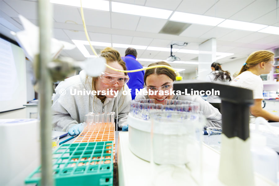 Riley Bruno and Elizabeth Stratman watch as their egg white solution drips into test tubes so their properties can be measured. Students isolate and purify lysozyme from actual egg whites in BIOC 401L - Laboratory for Elements of Biochemistry. February 13, 2024. Photo by Craig Chandler / University Communication and Marketing.