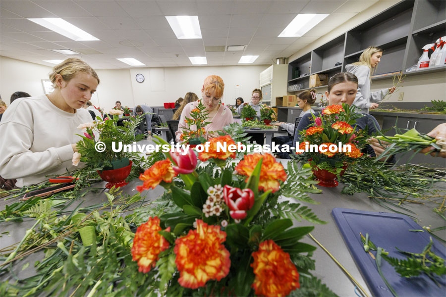 Students making floral arrangements. Stacy Adams teaches PLAS 261 - Floral Design I in the Plant Science Building on East Campus. February 14, 2024. Photo by Craig Chandler / University Communication and Marketing.