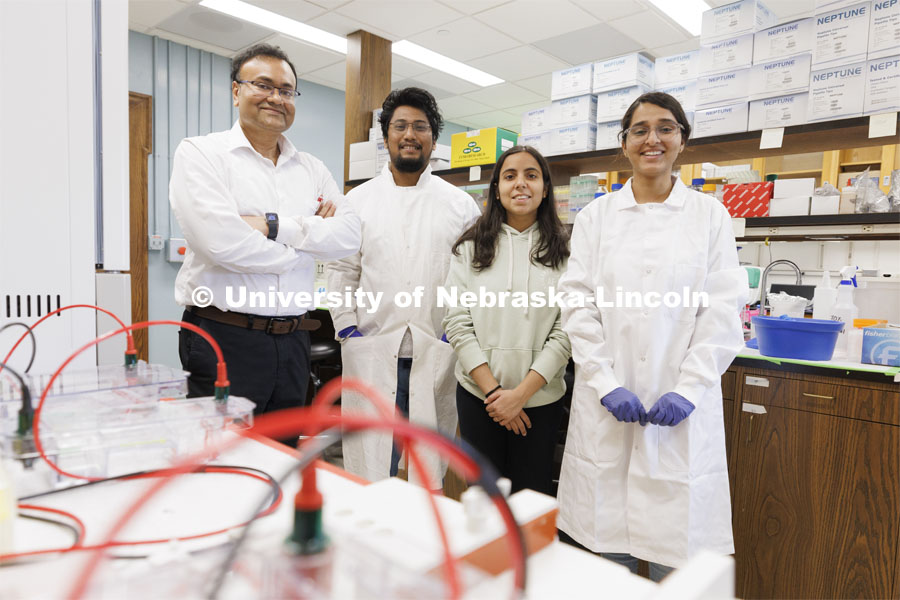 Shaonpius Mondal, Assistant Professor of Entomology, graduate students Mritunjoy Barman, Sofiya Arora and Nikhitha Gangavarapu. Shaonpius Mondal, Assistant Professor of Entomology, is doing research into mite- and aphid-borne viruses that are causing major concern for producers of wheat and small grains. March 13, 2024. Photo by Craig Chandler / University Communication and Marketing.