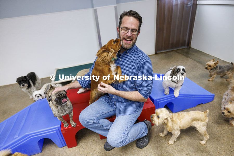 Jeffrey Stevens, Professor of Psychology, is working with the ManyDogs consortium, a world-wide group seeking to have larger data sets of canine information. Stevens is photographed at Camp Bow Wow surrounded by a bunch of dogs. March 14, 2024. Photo by Craig Chandler / University Communication and Marketing.